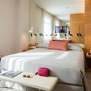 Deluxe Kamer met een King Size Bed